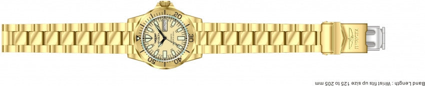 Image Band for Invicta Signature 7047