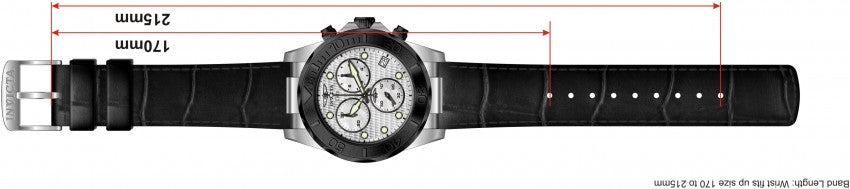 Image Band for Invicta Pro Diver 1720