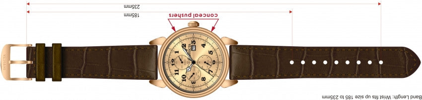 Image Band for Invicta Vintage 12216
