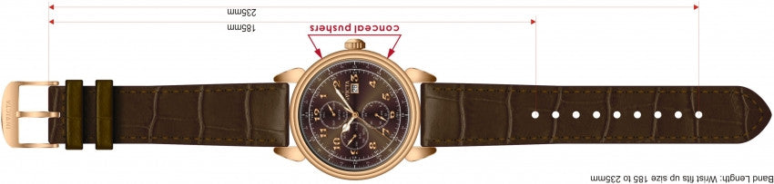Image Band for Invicta Vintage 12217