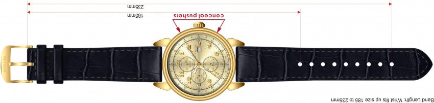 Image Band for Invicta Vintage 12215